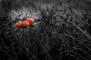 d060_0104_sz9415