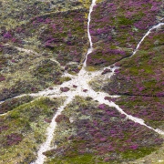d063_0848_sz10136