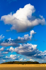 d063_0912_sz10143
