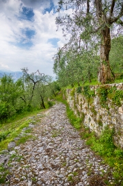 d058_0623