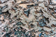 d062_0397