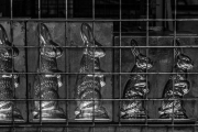 d062_0525