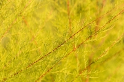 d061_0058_sz9587