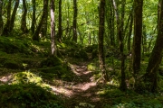 d061_0081