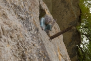 d061_0705