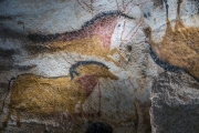 d061_1162