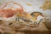 d061_1166