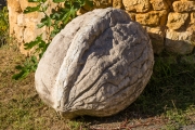 d061_1260
