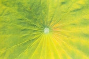 d061_1369