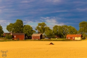 d059_0870