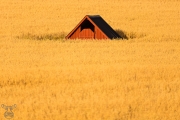 d059_0873