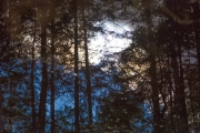 d059_1139