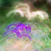 d065_0587_sz10341