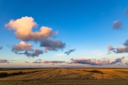 d065_0619