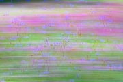 d065_0704_sz10363
