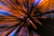 d065_0759_sz10365