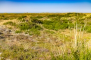 d065_1240