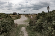 d066_0068