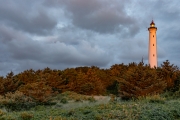 d066_0316_sz10720