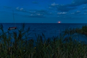 d066_0659_sz10787