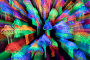 d067_0401