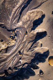 d067_0495_sz11104