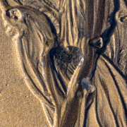 d067_0503_sz11107