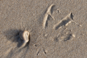 d067_0675_sz11147