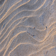 d067_1050_sz11260