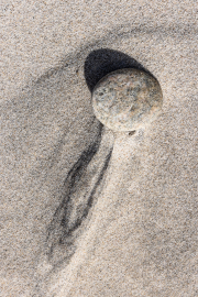 d067_1091_sz11277