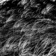 d067_1104_sz11282