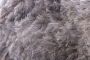 d067_1160_sz11288