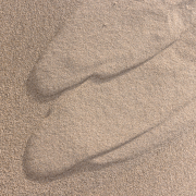 d067_1276_sz11302