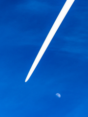 d067_1335_sz11319