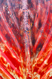 d067_1449_sz11340