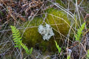 d067_1637