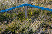 d067_1664