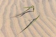 d067_2172_sz11454