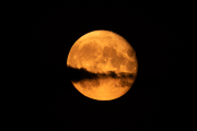 d067_2297
