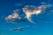 d067_2944