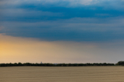 d067_3347
