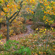 d067_3784