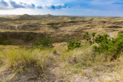 d067_3909