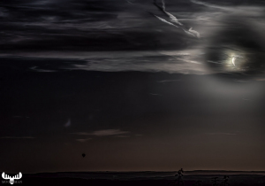 TE_1155_4_3_2_1_HDR_nonoise